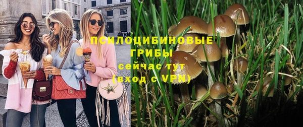круглые Алзамай