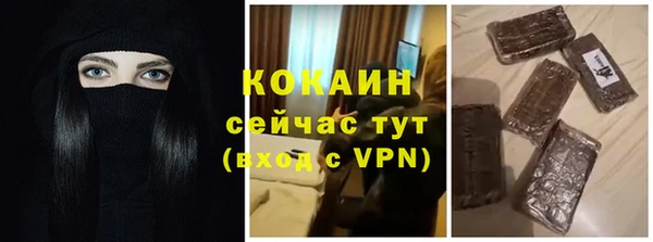 бошки Алексин
