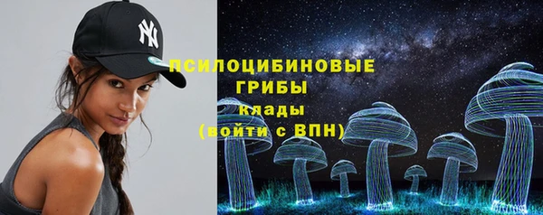 круглые Алзамай