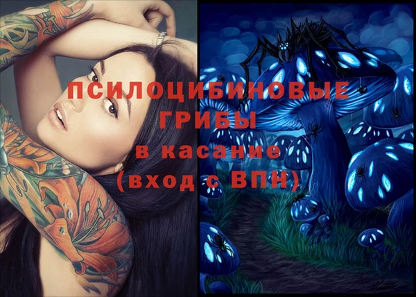бошки Алексин